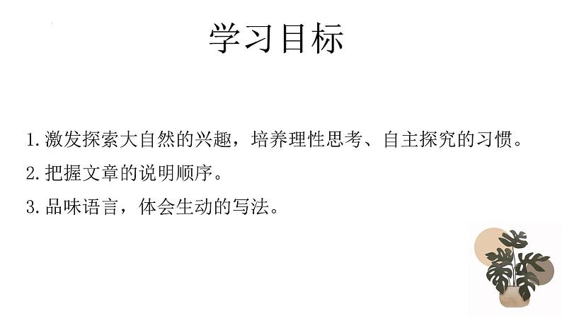 第8课《时间的脚印》课件2022-2023学年部编版语文八年级下册02