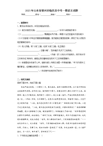 2023年山东省德州市临邑县中考一模语文试题（含答案）