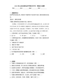 2023年山东省青岛市平度市中考一模语文试题（含答案）