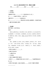2023年上海市崇明区中考二模语文试题（含答案）