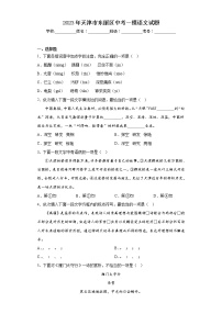 2023年天津市东丽区中考一模语文试题（含答案）
