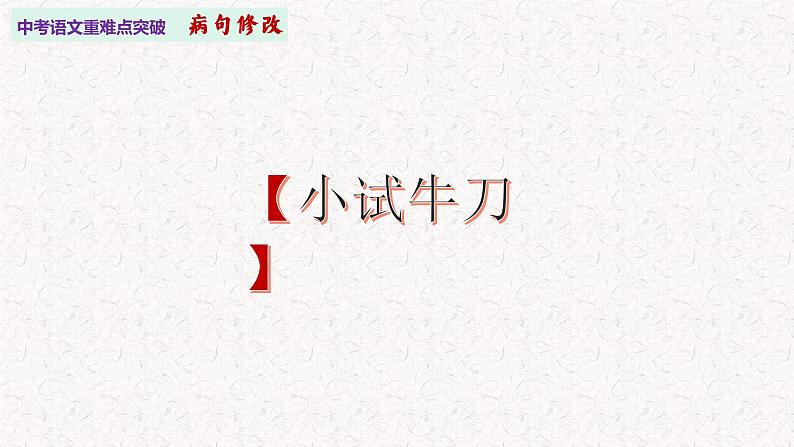 一、病句修改   中考语文重难点突破系列课件第2页