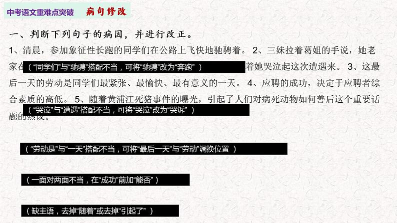 一、病句修改   中考语文重难点突破系列课件第3页