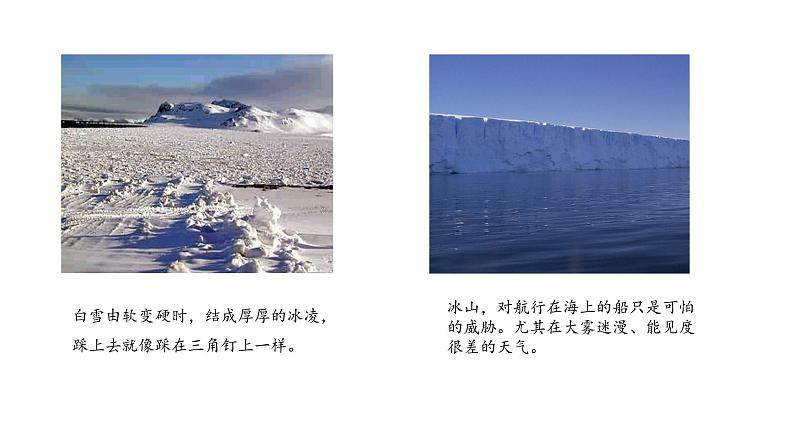 第22课 伟大的悲剧 课件第5页