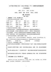 四川省成都市七中育才学校2022-2023学年八年级下学期期中考试语文试题