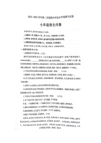 山东省聊城市阳谷县2022-2023学年七年级下学期期中学业水平检测与反馈语文试题