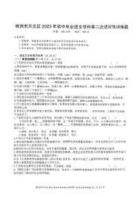 湖南省株洲市天元区2022—2023学年九年级下学期期中考试（第二次适应性训练）语文试题