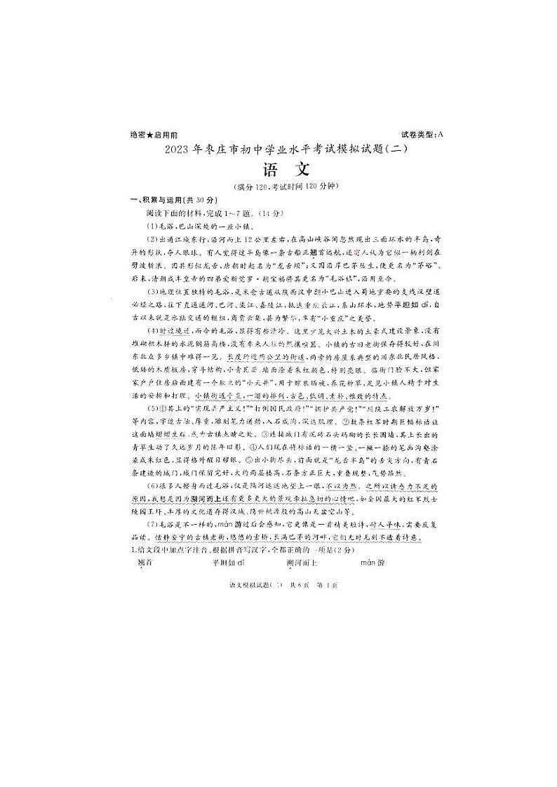 2023年山东省枣庄市初中学业水平考试模拟（二）语文试题01