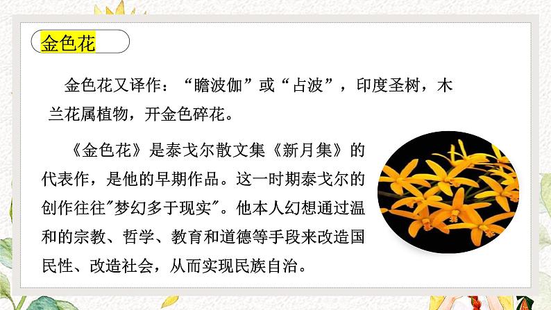 第7课《散文诗二首——金色花》课件2022—2023学年部编版语文七年级上册05