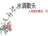 记承天寺夜游课件PPT