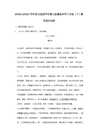 湖北省咸宁市通山县镇南中学2022-2023学年七年级下学期期中语文试卷