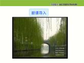 5.大自然的语言课件PPT