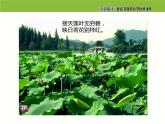 5.大自然的语言课件PPT