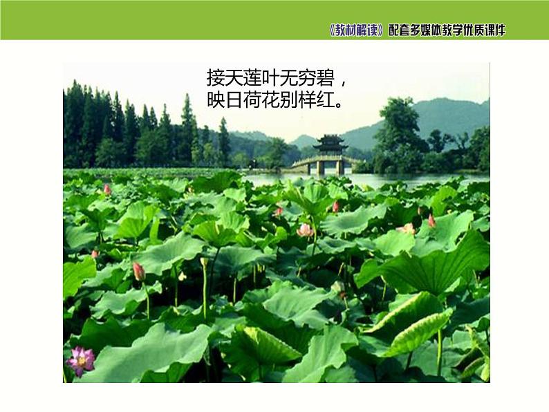 5.大自然的语言课件PPT03