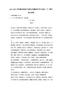湖北省咸宁市通山县镇南中学2022-2023学年七年级下学期期中语文试卷(含答案)