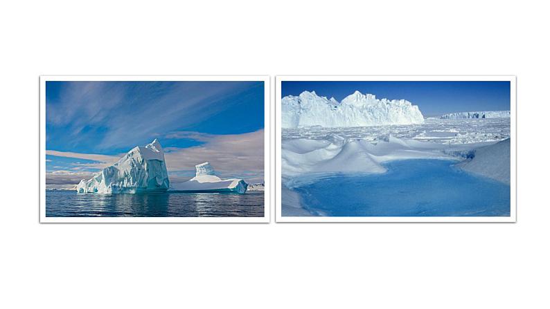 部编版七年级语文下册--22 伟大的悲剧（优质课件）第6页