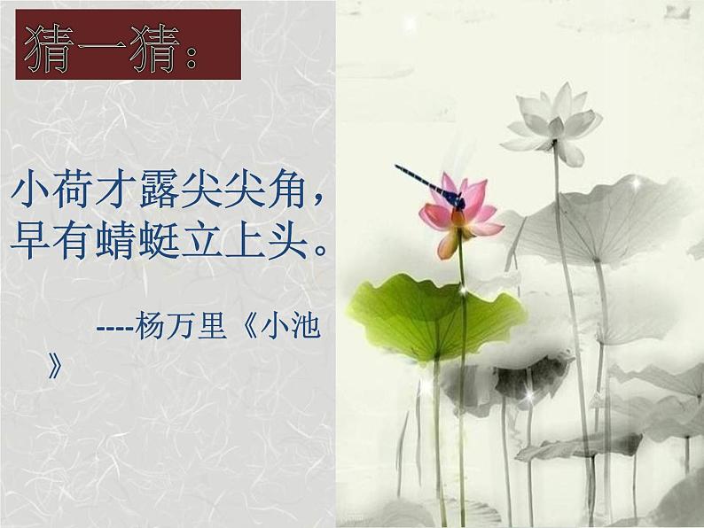 部编版七年级语文下册--第六单元课外古诗词-过松源晨炊漆公店（其五）（课件）第1页