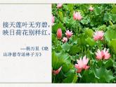 部编版七年级语文下册--第六单元课外古诗词-过松源晨炊漆公店（其五）（课件）