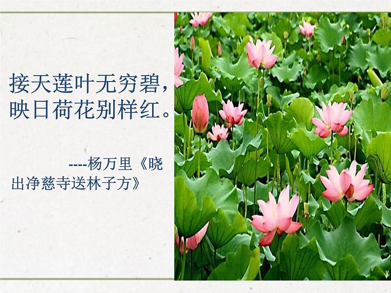 部编版七年级语文下册--第六单元课外古诗词-过松源晨炊漆公店（其五）（课件）第2页