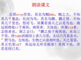 部编版八年级语文下册--21.庄子二则-北冥有鱼（课件）