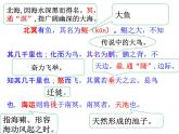 部编版八年级语文下册--21.庄子二则-北冥有鱼（课件）