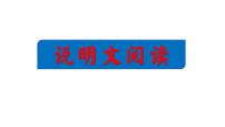 2023年中考语文三轮冲刺：说明文阅读（课件）
