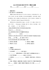 2023年河北省石家庄市中考一模语文试题（含答案）