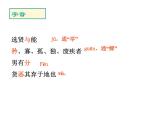 部编版八年级语文下册--22《礼记》二则-大道之行也（课件2）