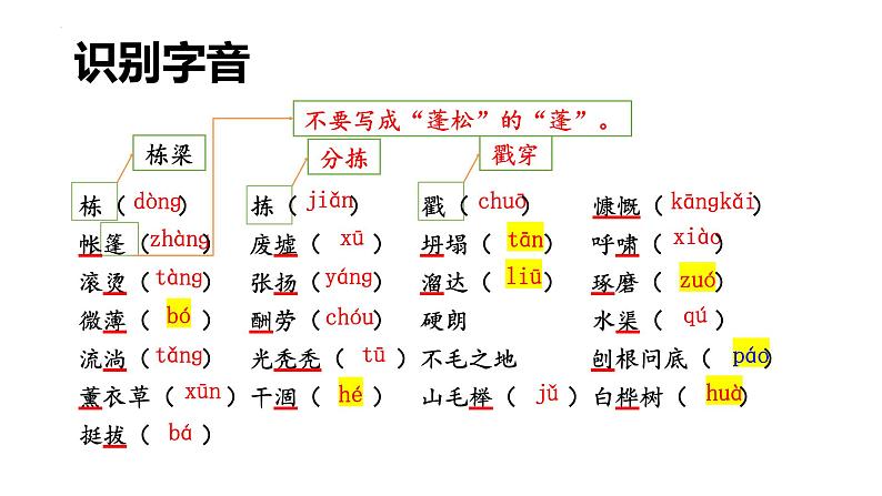 第13课《植树的牧羊人》课件2022-2023学年部编版语文七年级上册05