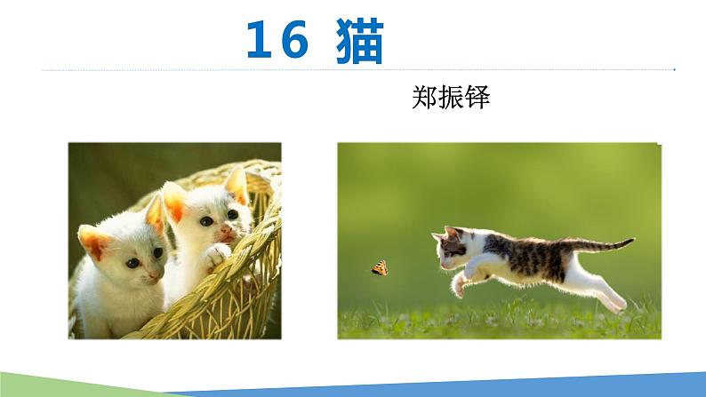 第16课《猫》课件2021—2022学年部编版语文七年级上册第2页
