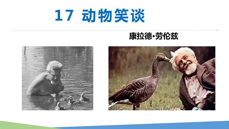 第17课《动物笑谈》课件2021—2022学年部编版语文七年级上册02