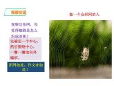 第五单元写作《如何突出中心》课件2021-2022学年部编版七年级上册