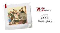 人教部编版九年级下册变色龙多媒体教学ppt课件