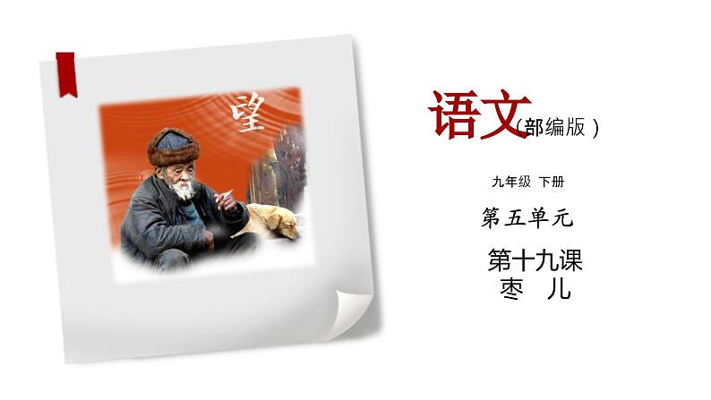 部编版语文九年级下册《枣儿》同步课件01