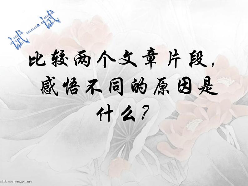 2023中考作文指导：作文细节描写   课件02