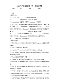 2023年广东省揭阳市中考一模语文试题（无答案）