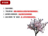 第18课《一棵小桃树》课件2022-2023学年部编版语文七年级下册