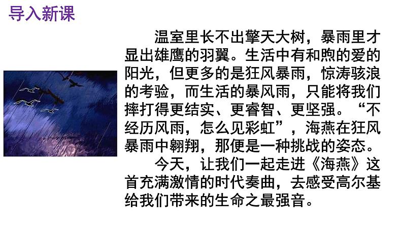 第4课《海燕》课件2022-2023学年部编版语文九年级下册01
