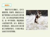 第7课《溜索》课件2022—2023学年部编版语文九年级下册