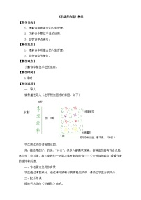 初中语文人教部编版七年级下册未选择的路教案