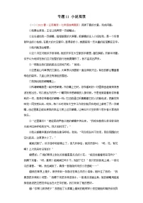 专题11+小说阅读－2022-2023学年七年级语文下学期期末备考专题复习（江苏专用）