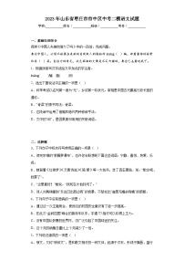 2023年山东省枣庄市市中区中考二模语文试题（含答案）
