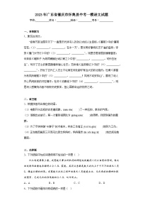 2023年广东省肇庆市怀集县中考一模语文试题（含答案）
