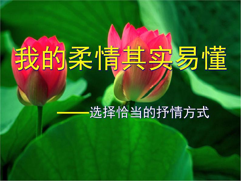 【专项练习】七年级语文下册课件%3A第二单元 写作 选择恰当的抒情方式03