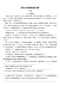 【精品同步练习】七年级语文阅读理解（无答案）