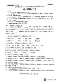 2023年山东省济宁市梁山县寿张集镇中学九年级中考语文模拟题