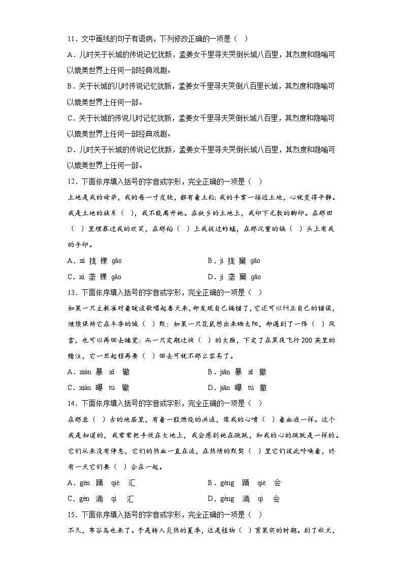 字音字形-2023年中考语文三轮冲刺情景试题03