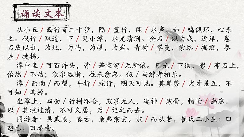 10.小石潭记部编版语文八年级下册课件第5页