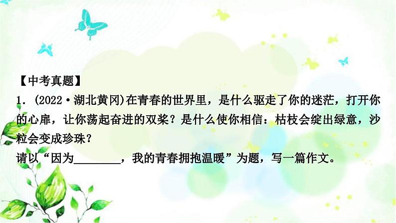 中考语文复习专题十八大作文作业课件第8页