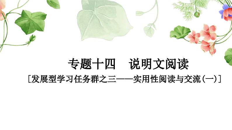 中考语文复习说明文阅读文体知识梳理教学课件01